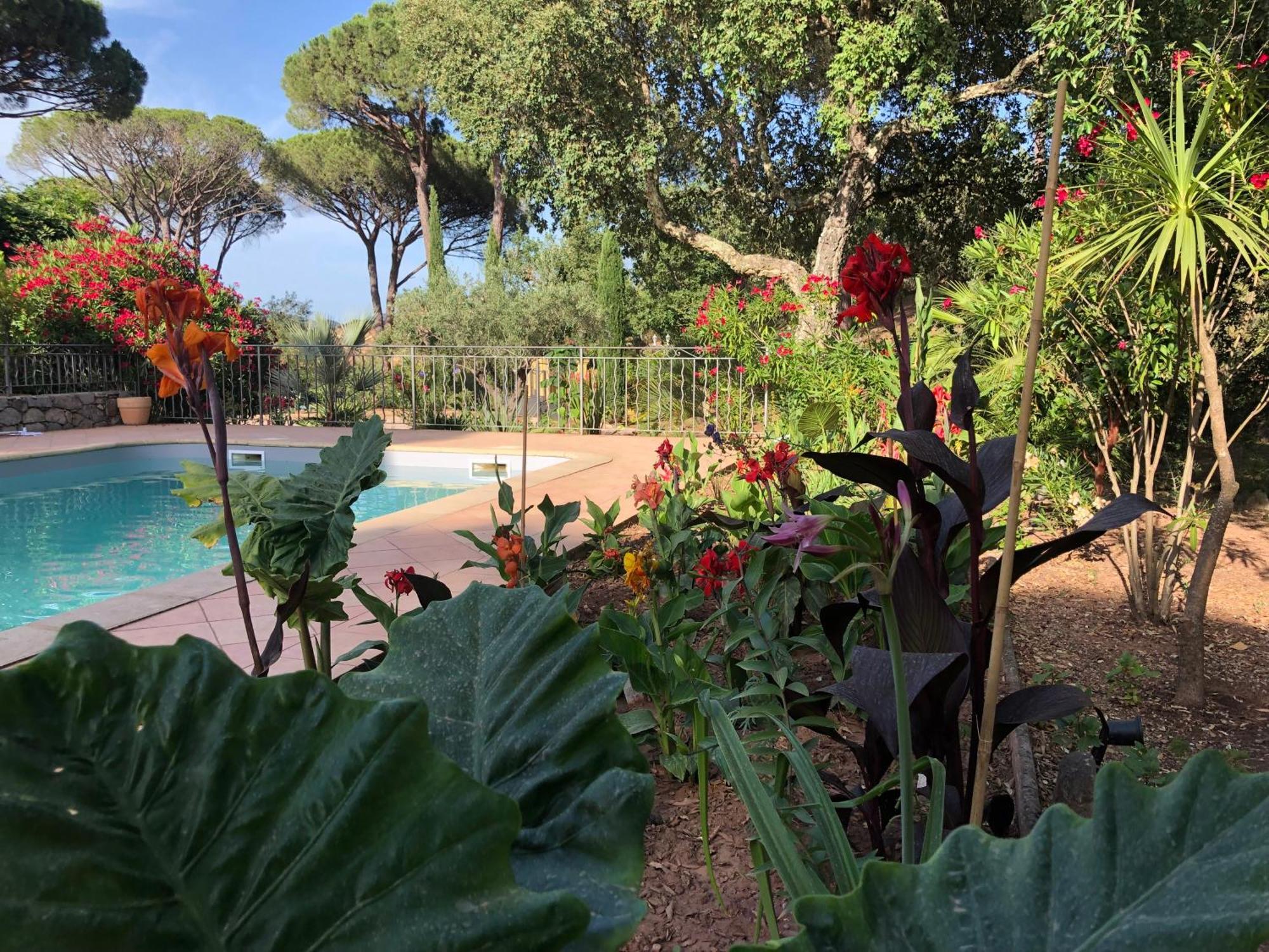 Sous Les Pins Parasols Vidauban Eksteriør bilde