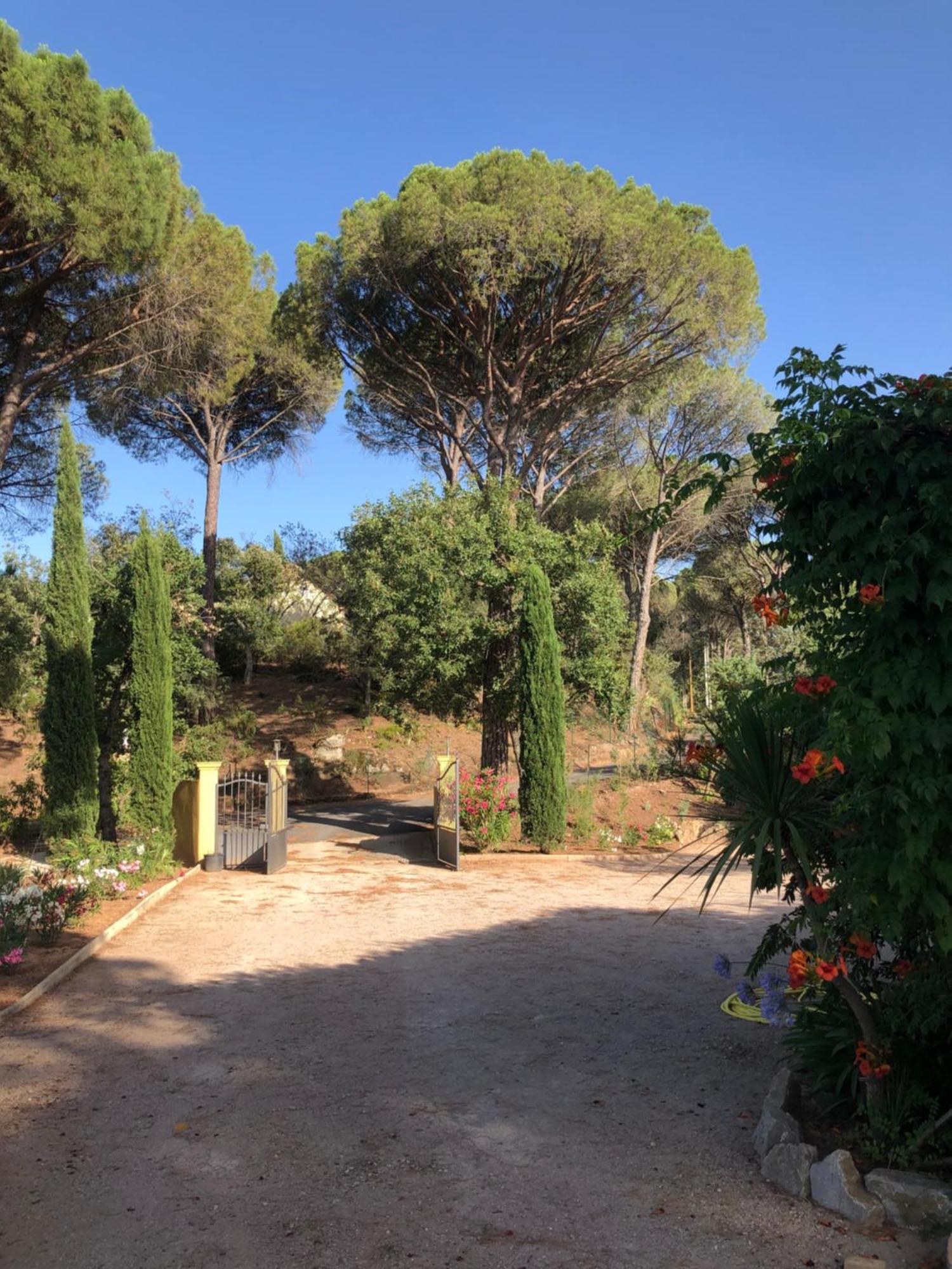 Sous Les Pins Parasols Vidauban Eksteriør bilde