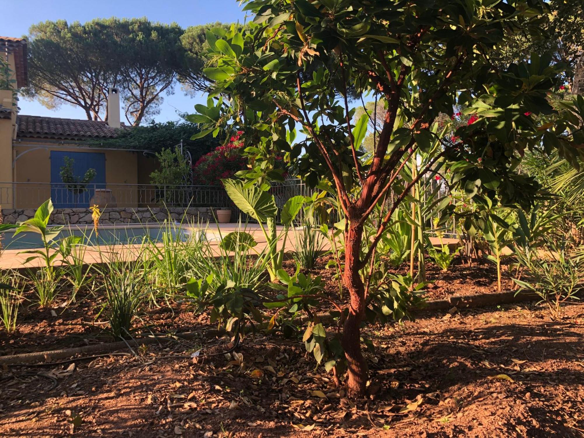 Sous Les Pins Parasols Vidauban Eksteriør bilde