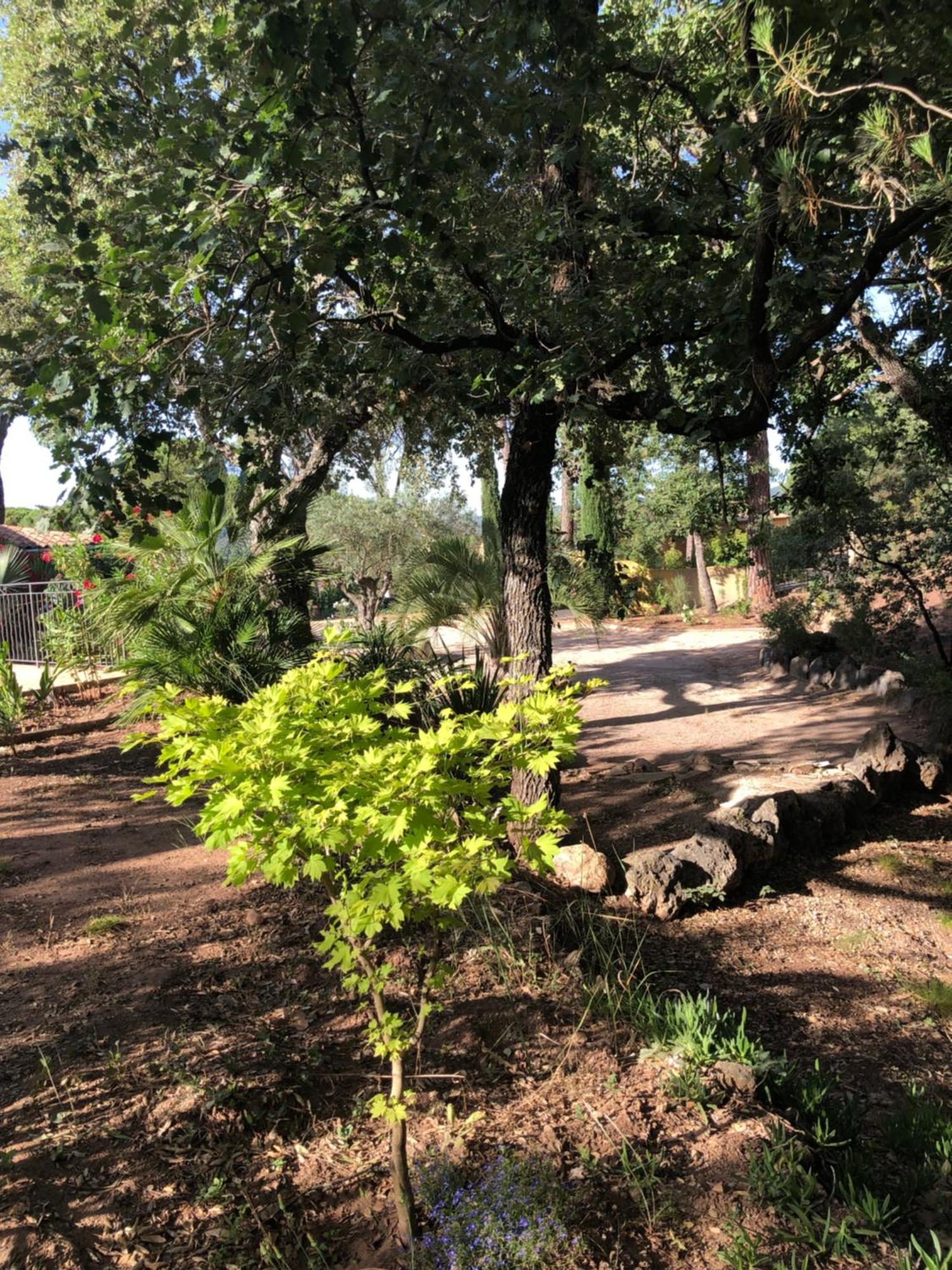 Sous Les Pins Parasols Vidauban Eksteriør bilde