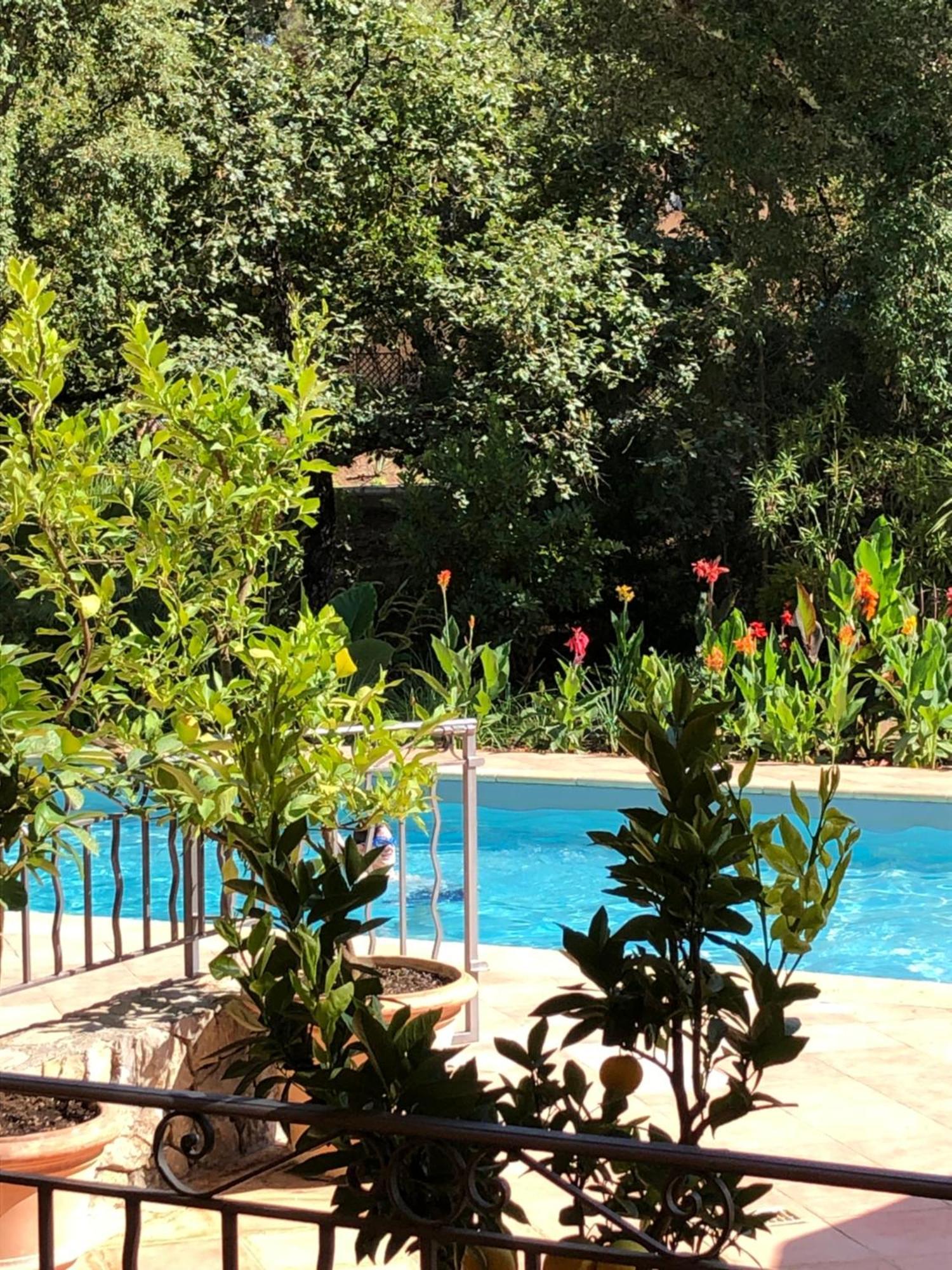 Sous Les Pins Parasols Vidauban Eksteriør bilde