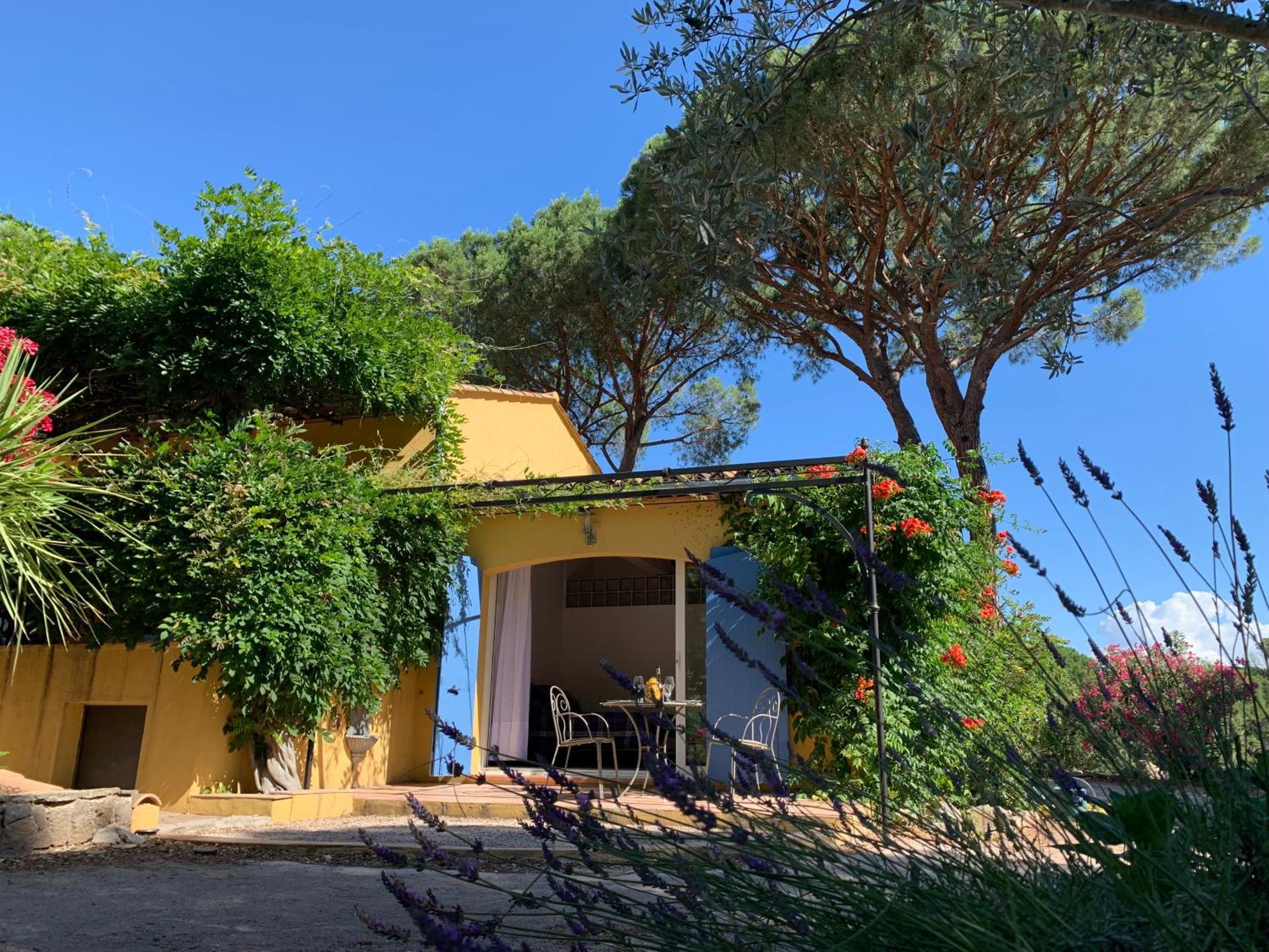 Sous Les Pins Parasols Vidauban Eksteriør bilde