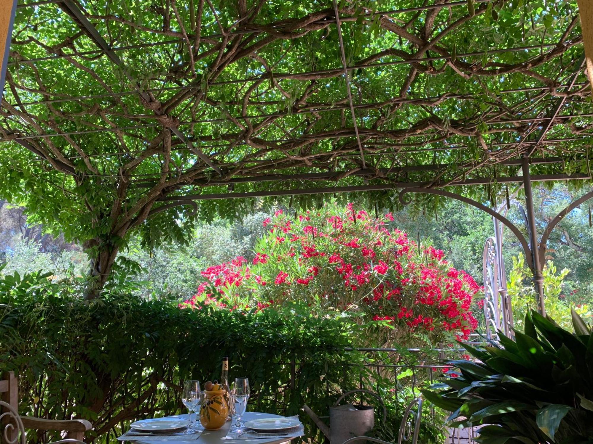 Sous Les Pins Parasols Vidauban Eksteriør bilde