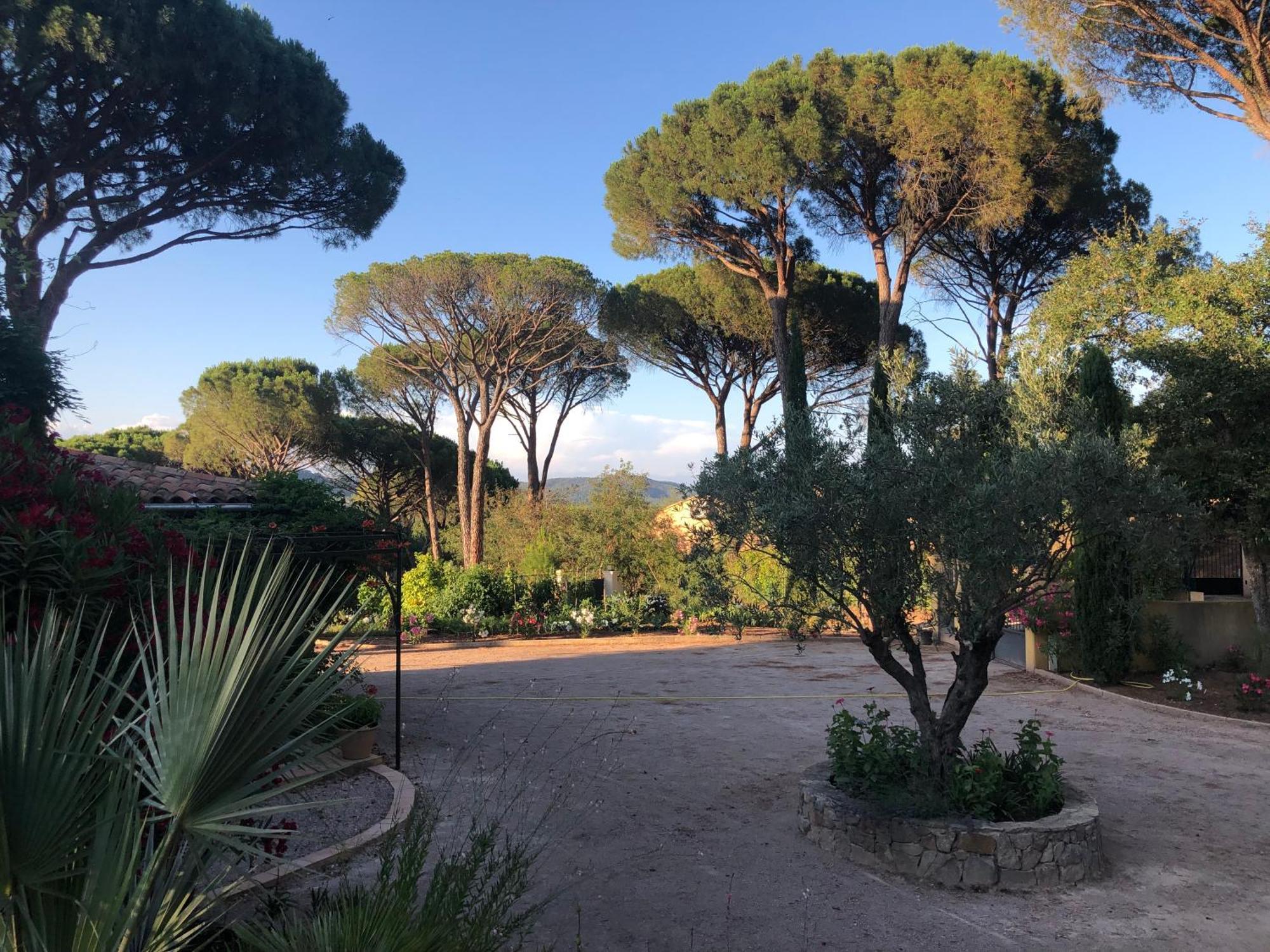 Sous Les Pins Parasols Vidauban Eksteriør bilde