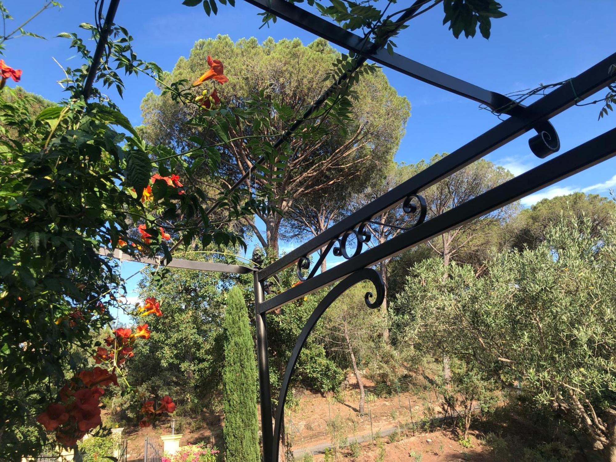 Sous Les Pins Parasols Vidauban Eksteriør bilde