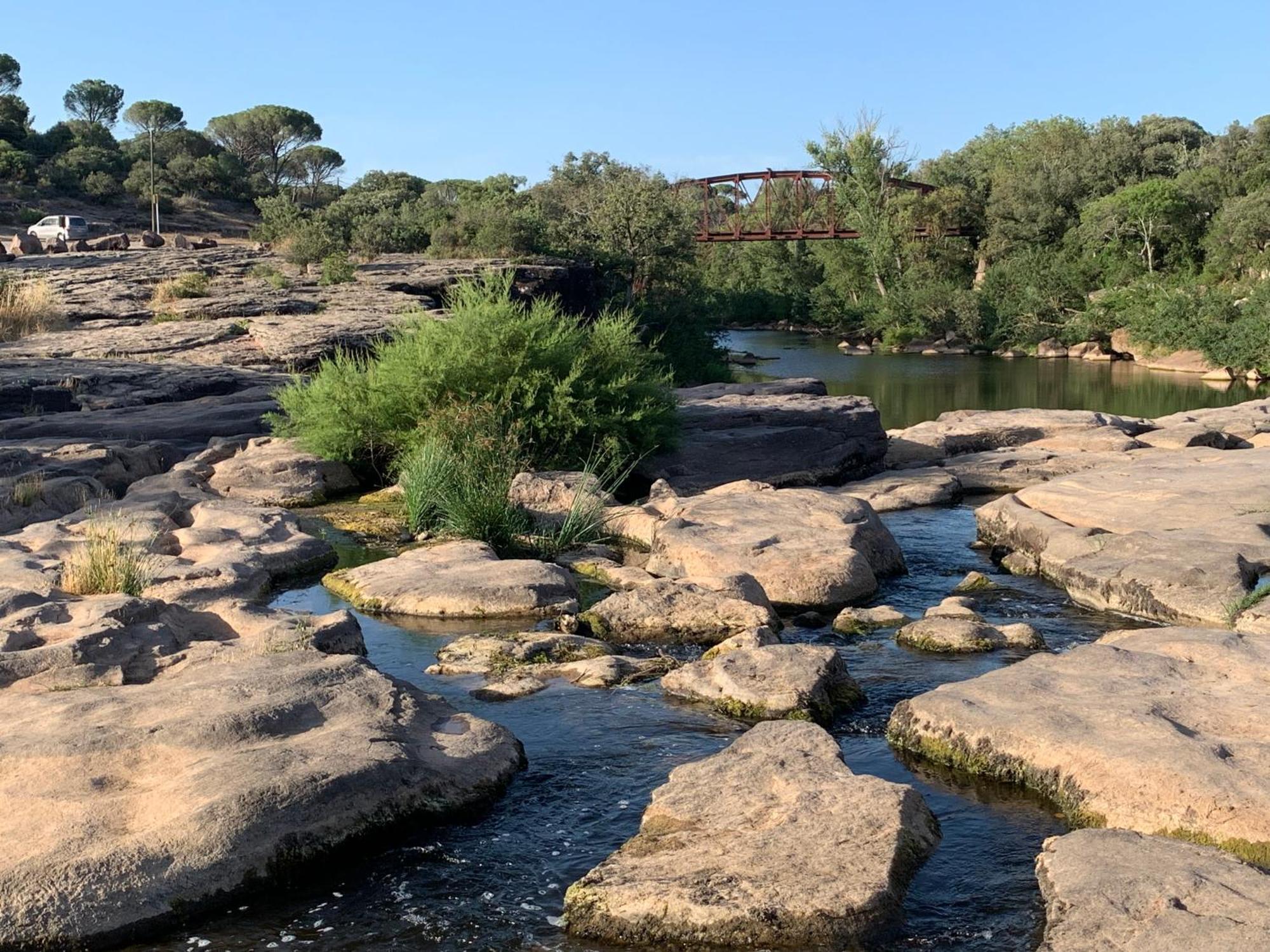 Sous Les Pins Parasols Vidauban Eksteriør bilde