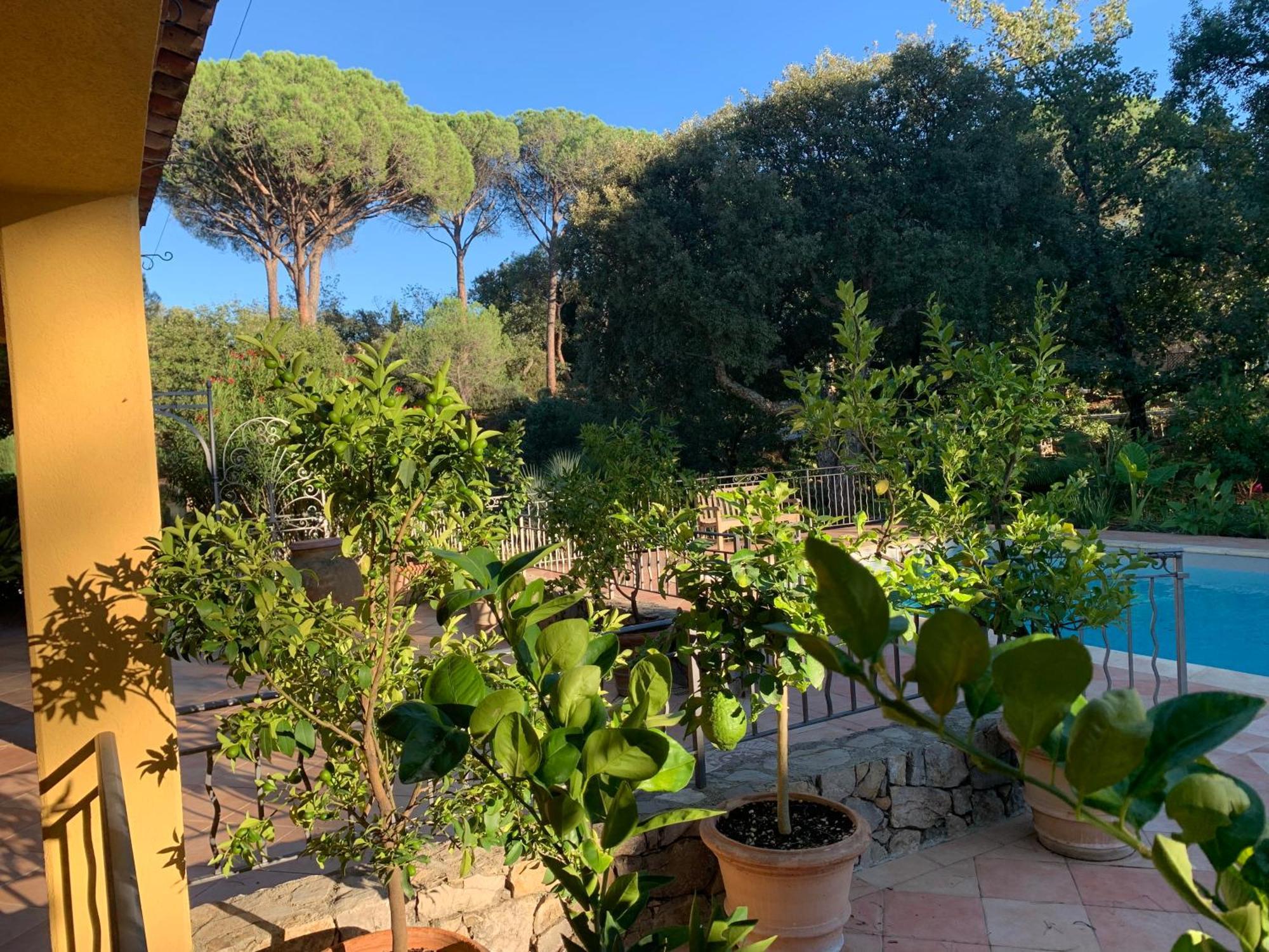 Sous Les Pins Parasols Vidauban Eksteriør bilde