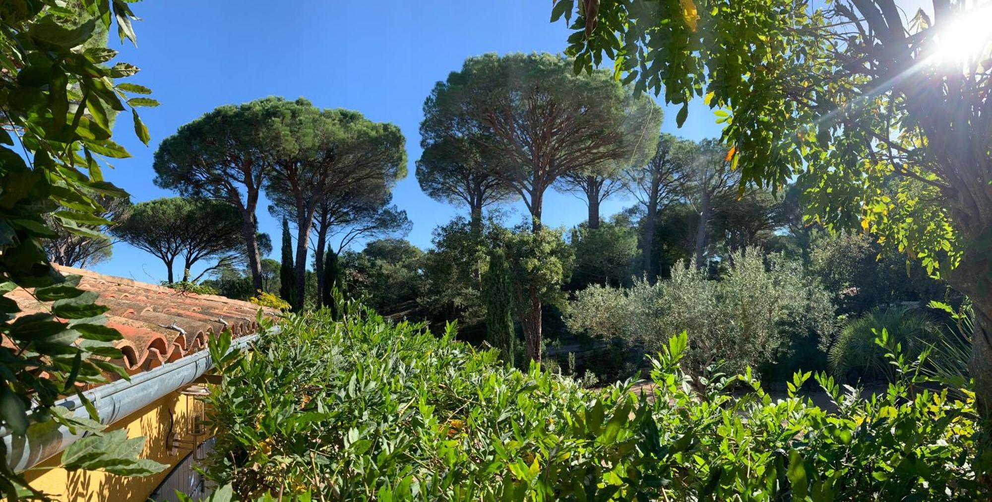 Sous Les Pins Parasols Vidauban Eksteriør bilde