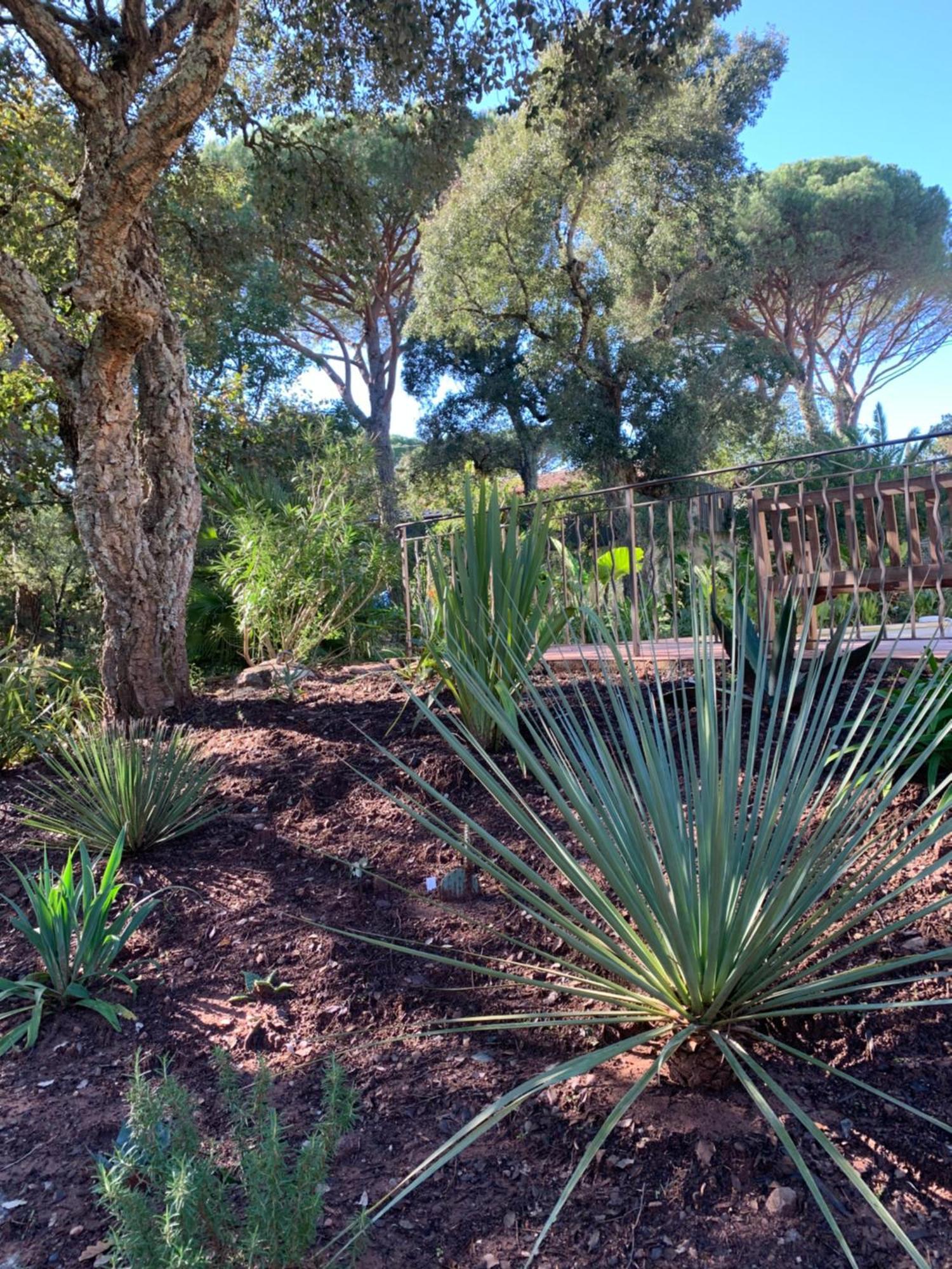 Sous Les Pins Parasols Vidauban Eksteriør bilde