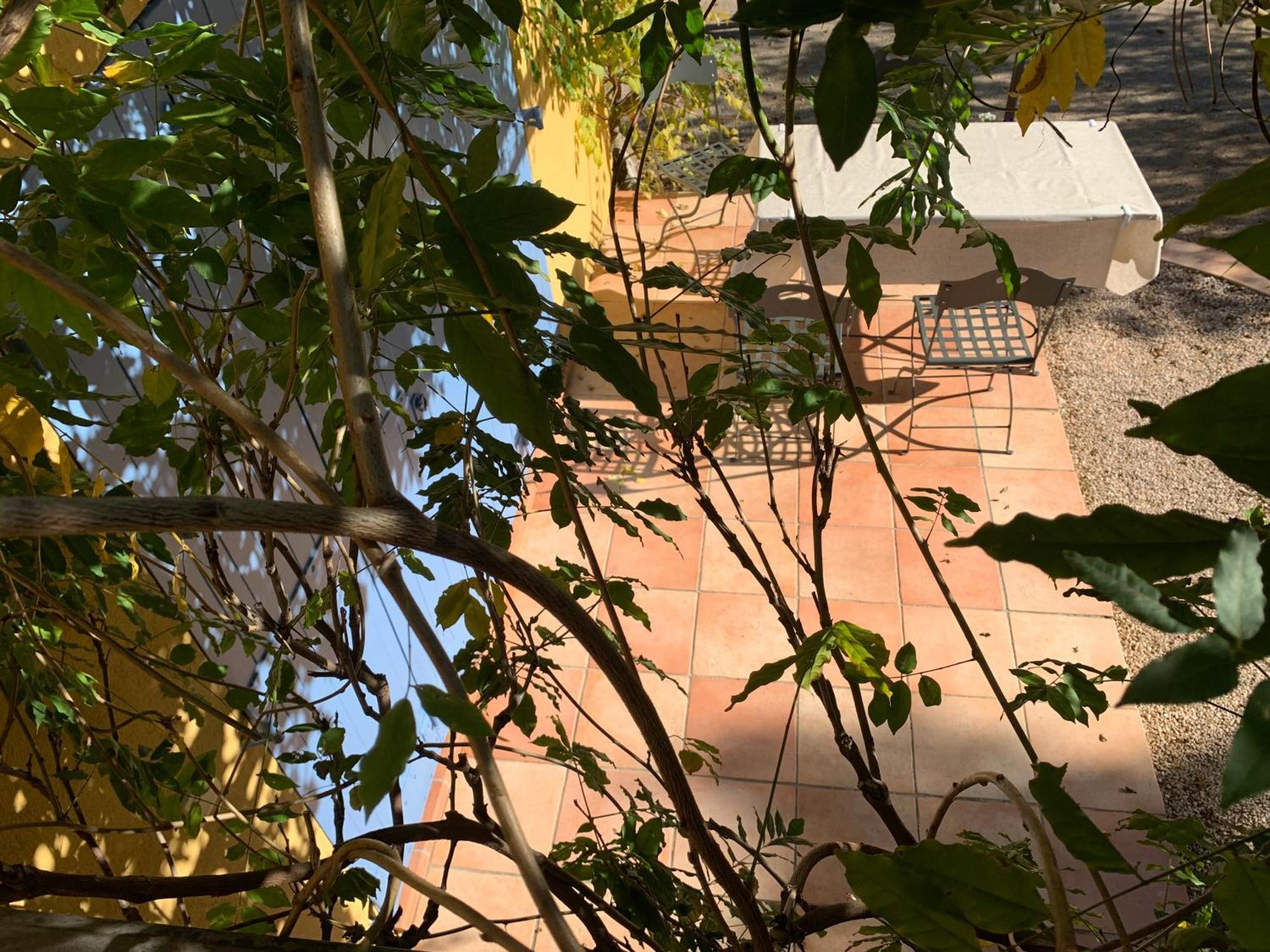 Sous Les Pins Parasols Vidauban Eksteriør bilde