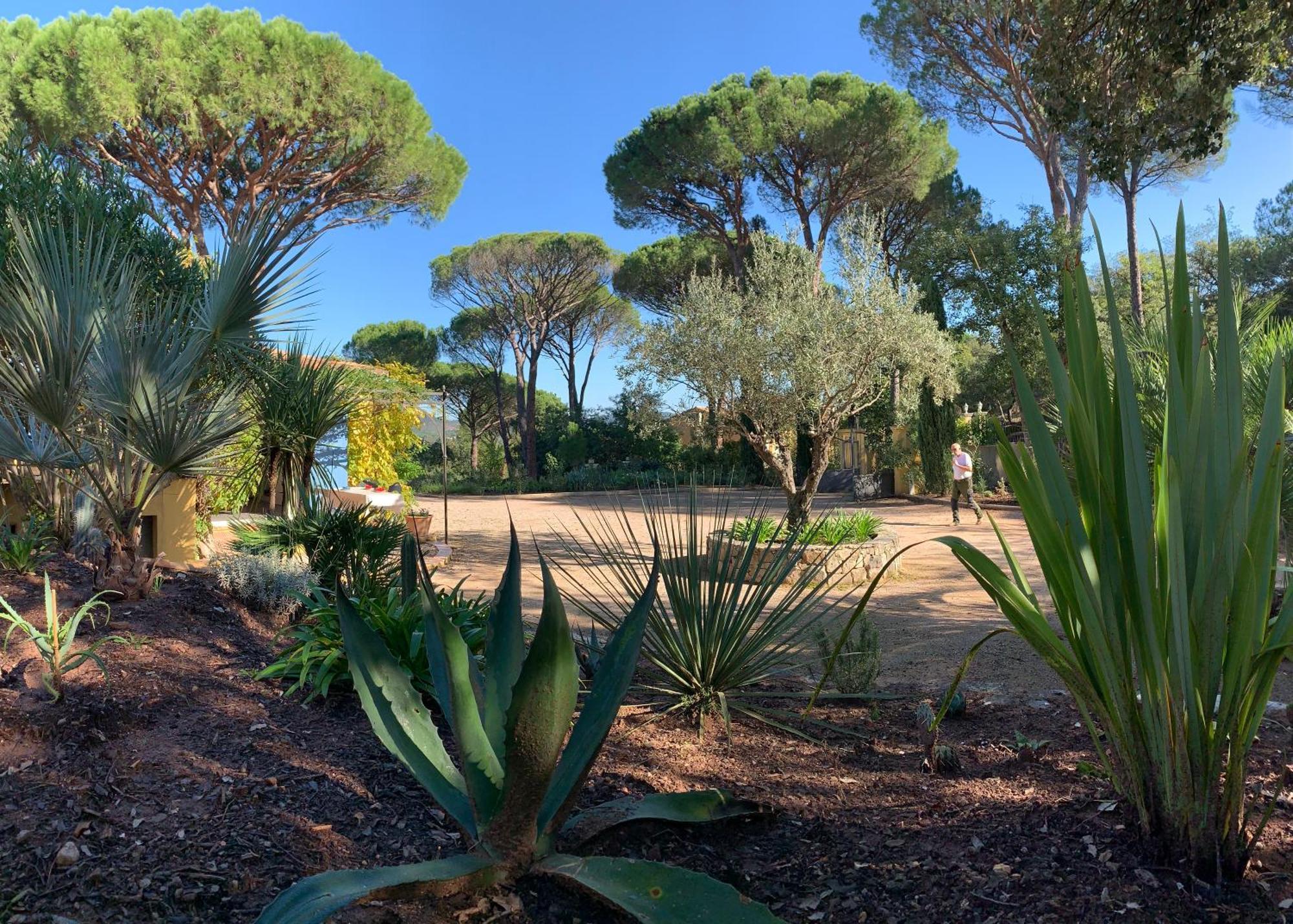 Sous Les Pins Parasols Vidauban Eksteriør bilde